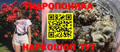 прущие крисы Балаково