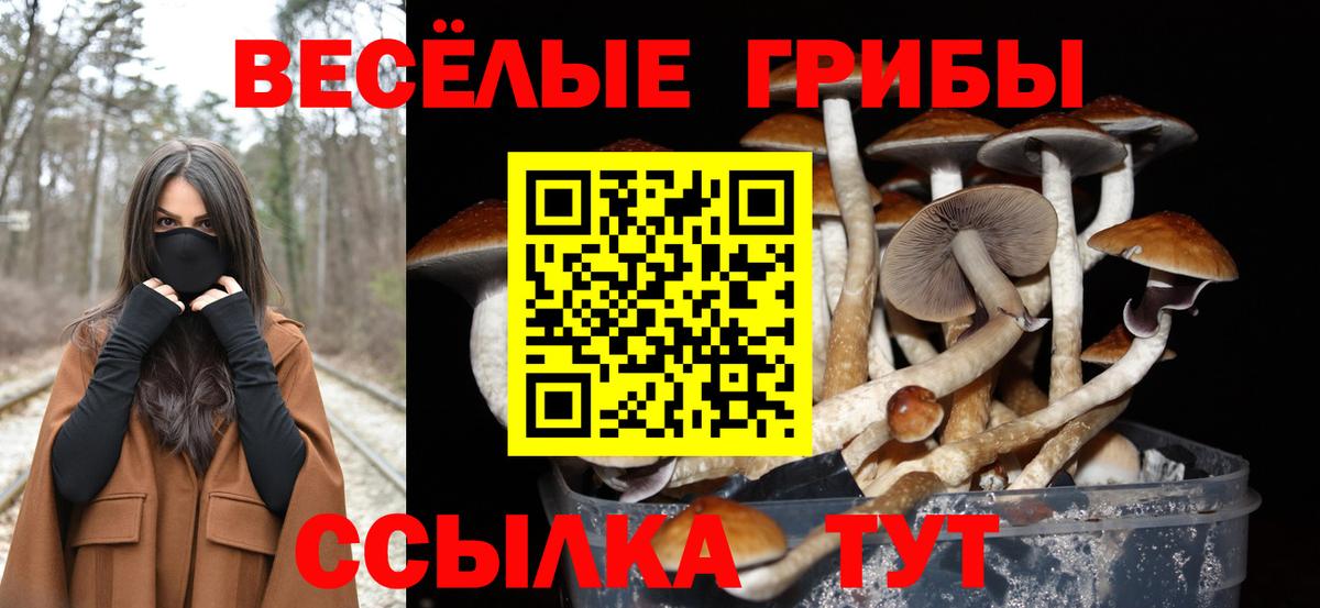 Димитровград  Галлюциногенные грибы мухоморы  закладки  Вход с VPN  Псилоцибиновые грибы Cubensis 